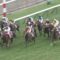 【競馬/有馬記念】あのぅ、、、サウンズオブアースを買っちゃいけませんかぁ？