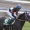 【競馬/京王杯2歳S】武豊うますぎるwwwwmwwwwwwww