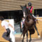 【競馬】[画像] ダンビュライトさん、レースより種付けの練習に精を出していた･････