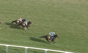 【競馬/新潟記念】ブラストワンピース強すぎ秋天も楽しみ 【競馬/新潟記念】ブラストワンピース強すぎ秋天も楽しみ