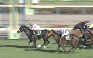【競馬】ミッキーグローリー、屈腱炎のため引退