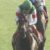 【競馬/有馬記念】ルメール「レイデオロはランドローバー」「アーモンドアイはフェラーリ」