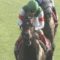 【競馬】朗報！オールカマー4着レイデオロ、ジャパンC参戦へ