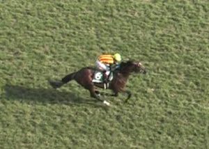 【競馬/新潟記念】メドウラークきっちり5着でサマーチャンピオンGETワロタwwww 【競馬/新潟記念】メドウラークきっちり5着でサマーチャンピオンGETワロタwwww