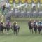 【競馬/神戸新聞杯】エポカドーロ藤原英調教師「スタートでのつまずきがすべて。１番人気に支持されたのに申し訳ない。」