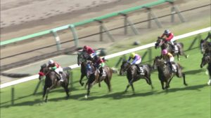 【競馬】グレイシアが桜花賞馬確定な件 【競馬】グレイシアが桜花賞馬確定な件