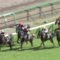 【競馬】グレイシアが桜花賞馬確定な件