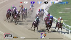 【競馬】ロンドンタウンが今年もコリアカップを超絶圧勝wwwwwww 【競馬】ロンドンタウンが今年もコリアカップを超絶圧勝wwwwwww