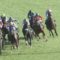 【競馬/京成杯AH】ワントゥワン戸崎圭太ｗｗｗｗｗｗｗｗｗｗｗｗｗｗｗ