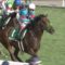 【競馬】ブラストワンピース戸崎とか武豊ならもっとG1勝ってそう