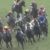 【競馬/スプリンターズS】香港馬が故障。海外から敬遠される日本の高速馬場