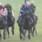 【競馬】川田ゆうがさん秋G1全て馬券内