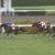 【競馬/スプリンターズS】ファインニードルの複勝1.6？？？？