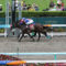 【競馬】[画像] 札幌の内馬場で観戦してる人たちの表情が面白い（画像あり）