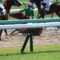 【競馬】[画像] 9月9日(日)中山４レースでダートコース輪乗り中に砂遊びを始める馬が＼(^o^)／