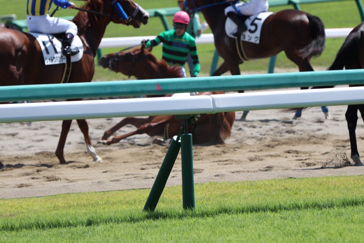 【競馬】[画像] 9月9日(日)中山４レースでダートコース輪乗り中に砂遊びを始める馬が＼(^o^)／