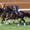 【競馬/神戸新聞杯】エポカドーロ芝コースで追い切り持ったままラスト1F11秒0