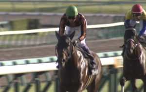 【競馬】中山11R武豊鮮やか逃げ切り！→大久保元調教師「武豊が逃げると誰も競りかけない」