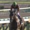 【競馬】中山11R武豊鮮やか逃げ切り！→大久保元調教師「武豊が逃げると誰も競りかけない」