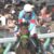 【競馬・マイルCS】大舞台に強い池添上手すぎワロタwwww 【競馬・マイルCS】大舞台に強い池添上手すぎワロタwwww