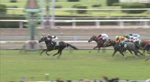 【競馬】小倉競馬酷すぎじゃね？