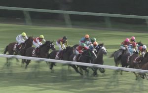 【競馬・有馬記念】スティッフェリオを買ってしまう漢 【絶好枠】