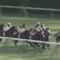 【競馬・有馬記念】スティッフェリオを買ってしまう漢 【絶好枠】