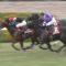 【競馬】大阪杯に参戦するワグネリアンを買おうかどうか迷ってるんだが