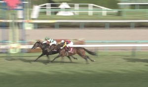 【競馬/オールカマー】武豊ダンビュライトで溜め殺しワロタｗｗｗｗｗｗｗｗ