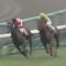 【競馬】西山「ネロは種牡馬入りさせます、しかしネロを種付けするのはこの西山以外にいないでしょう」