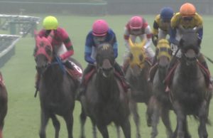 【競馬/スプリンターズS】前日オッズでファインニードルが単勝3.5倍もついてるんだが… 【競馬/スプリンターズS】前日オッズでファインニードルが単勝3.5倍もついてるんだが…