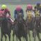 【競馬/スプリンターズS】前日オッズでファインニードルが単勝3.5倍もついてるんだが…