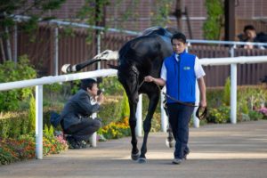 【競馬】[画像] ロゴタイプさんの横蹴りを神回避ｗｗｗｗｗｗｗｗｗｗｗｗｗｗ