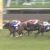 【競馬/スプリンターズS】ラブカンプー 主な勝ち鞍:かささぎ賞