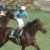 【競馬】ブラストワンピースまでルメールに乗り替わりに流石に引いた奴の数→
