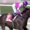 【競馬/韓国G1】コリアスプリントは日本馬モーニンが優勝！！