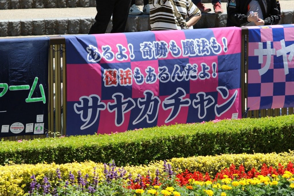 【競馬/秋華賞】[画像] サヤカチャンの横断幕の写真