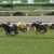 【競馬/菊花賞】ブラストワンピース池添「前が止まらなかっただけでこの馬も止まっていない。あと200mあったら…」