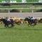 【競馬】武豊を評価してるのは老害で、僕は下手くそだと思ってました。