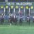 【競馬/天皇賞秋】スワーヴリチャード惨敗の理由は休養明け?それとも安田記念使ったから? 【競馬/天皇賞秋】スワーヴリチャード惨敗の理由は休養明け?それとも安田記念使ったから?
