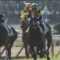 【競馬/2歳新馬】武豊ｘワールドプレミア強すぎwwwwwwwww京都新馬戦