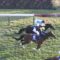 【競馬】ちょっと待って武豊騎手はなにがしたかったの