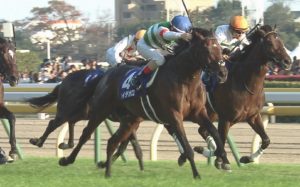 【競馬/天皇賞秋】藤沢「レイデオロは年内残り1戦。来年も現役」