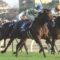 【競馬】有馬記念ファン投票中間発表。1位はレイデオロ。オジュウチョウサンは3位