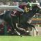 【競馬】吉田稔「自信ある、手ごたえはある」→不合格　　モレイラ「最後の方は時間が無く空欄だった」→合格
