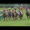 【競馬】怪物サートゥルナーリア注目の2戦目。シーザリオ一族悲願のダービー制覇へ