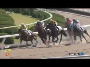 【競馬/2歳新馬】ヴァイトブリック強すぎワロタｗｗｗ