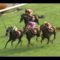 【競馬】2001年京都大賞典の衝撃の落馬....