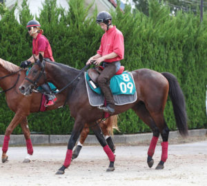 【競馬】キーファーズｘ武豊で新馬勝ちのゴータイミングの名付け親が木梨憲武だったことが判明