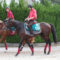 【競馬】キーファーズｘ武豊で新馬勝ちのゴータイミングの名付け親が木梨憲武だったことが判明